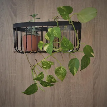 The Secret Garden Apartment Arrifes